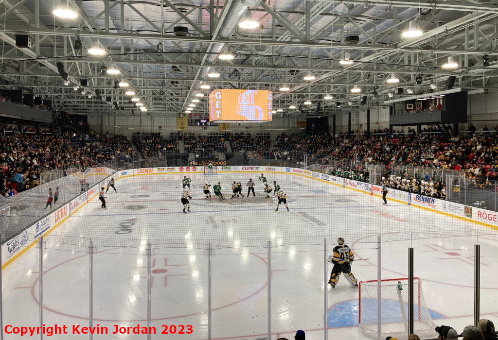 OHL Hockey - Brantford Bulldogs - Brantford