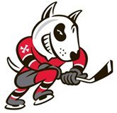 IceDogs